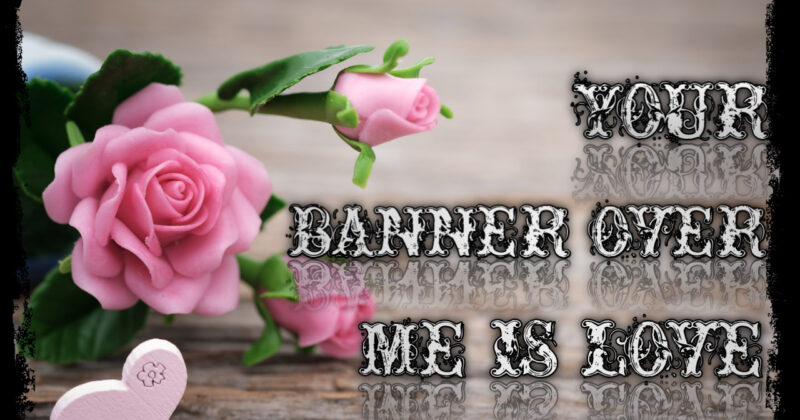 YOUR BANNER OVER ME IS LOVE